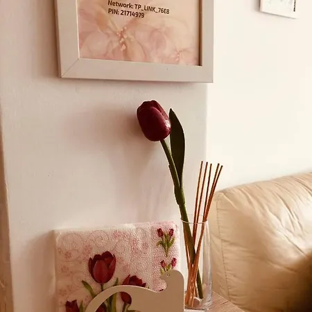 Molly's Apartmán Sofie