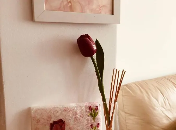 Molly's Apartmán Sofie